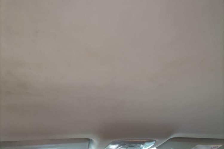 Used AION S 2019 Xuan 530 Headliner