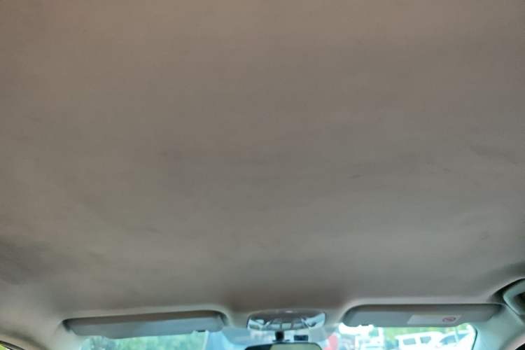 Used AION S 2019 Xuan 630 Headliner