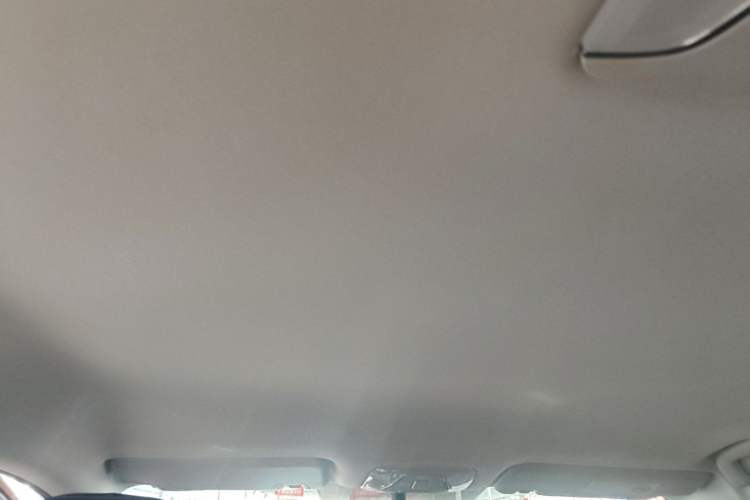Used AION S 2019 Xuan 630 Headliner