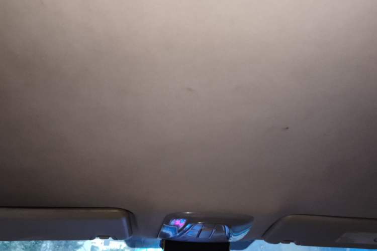 Used AION S 2019 Meizu 530 Headliner