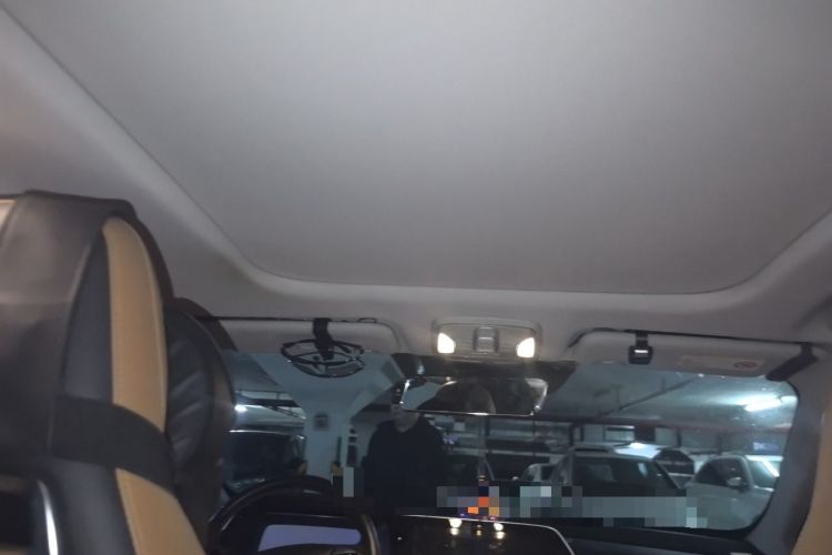 Used AION S 2019 Max 630 Headliner