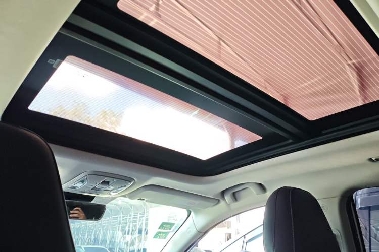 Used AION S 2019 Max 630 Headliner