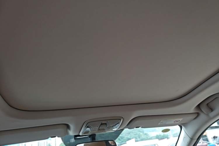 Used AION S 2019 Meizu Evo 630 Headliner