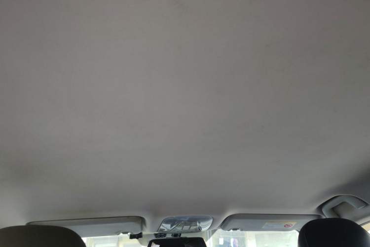 Used AION S 2019 Meizu 630 Headliner