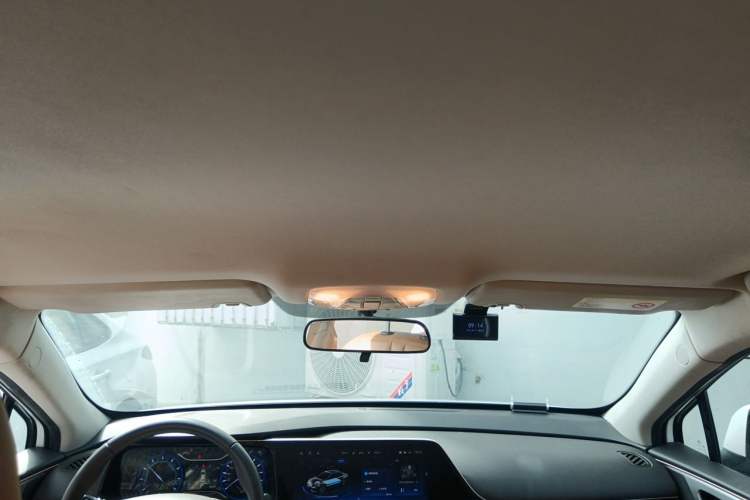 Used AION S 2019 Meizu 530 Headliner