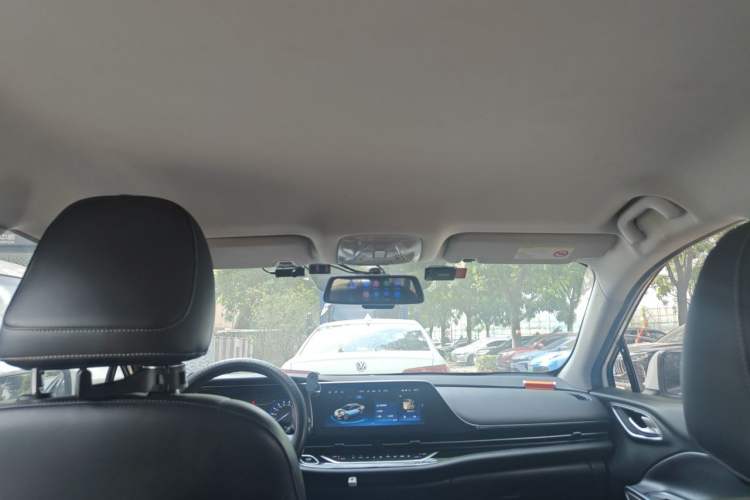 Used AION S 2019 Xuan 630 Headliner