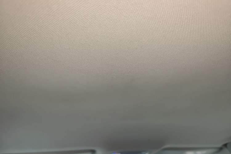 Used AION S 2019 Xuan 530 Headliner