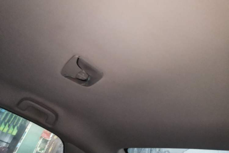 Used AION S 2019 Xuan 530 Headliner