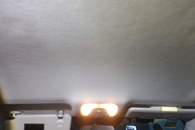 Used AION S 2019 Meizu 630 Headliner