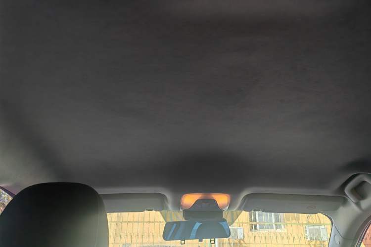 Used AION S 2019 Meizu 530 Headliner