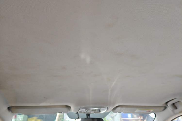 Used AION S 2019 Xuan 530 Headliner