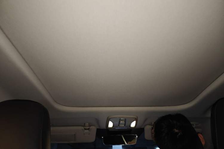 Used AION S 2019 Meizu 630 Safety Smart Drive Edition Headliner