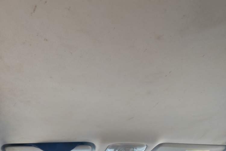 Used AION S 2019 Xuan 530 Headliner
