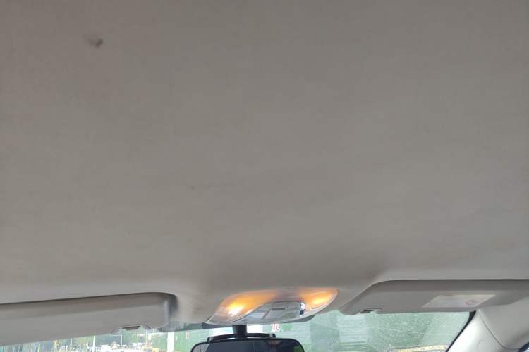 Used AION S 2019 Xuan 530 Headliner