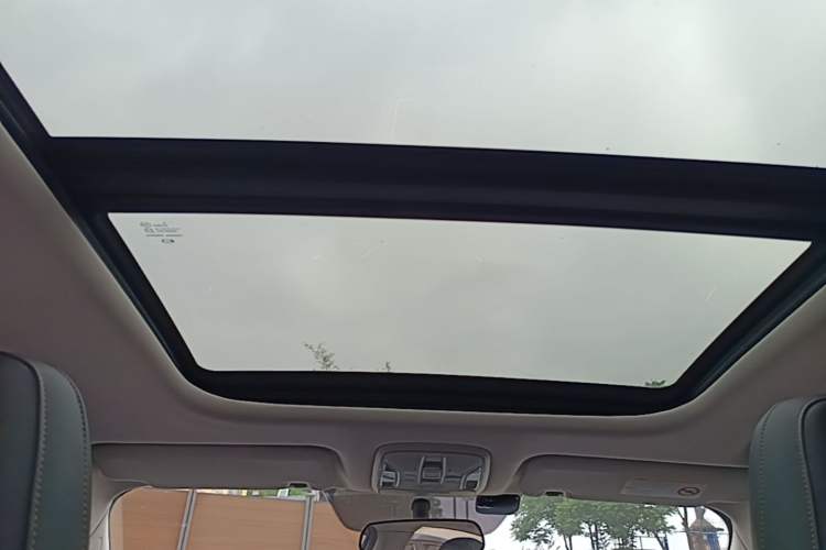 Used AION S 2019 Meizu Evo 630 Headliner