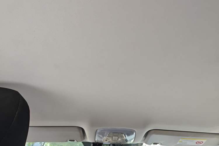 Used AION S 2019 Xuan 630 Headliner