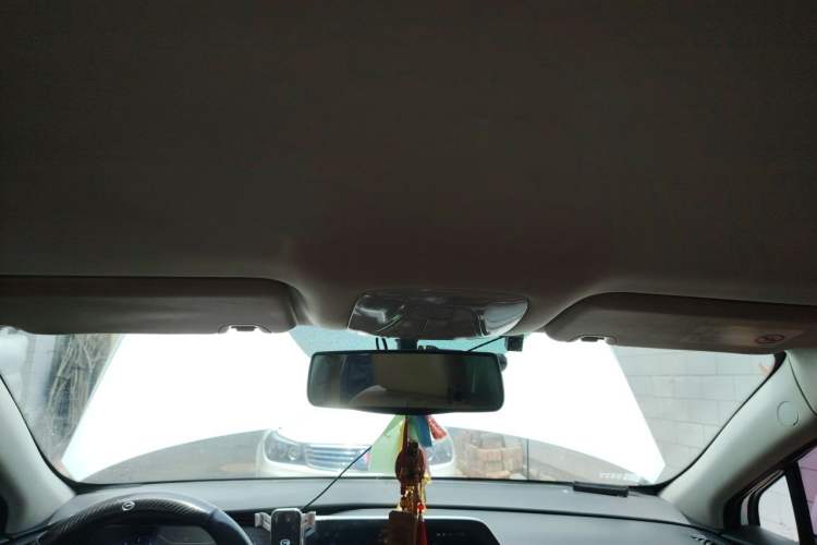 Used AION S 2019 Meizu 630 Headliner