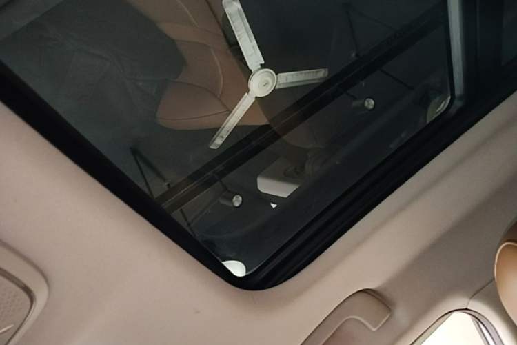 Used AION S 2019 Xuan 530 Headliner