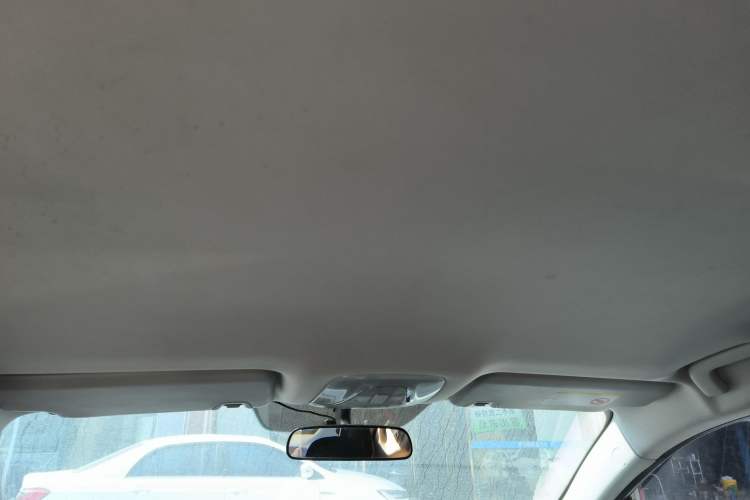 Used AION S 2019 Xuan 530 Headliner