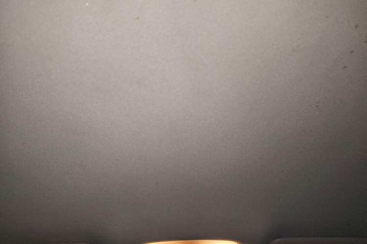 Used AION S 2019 Meizu 630 Headliner