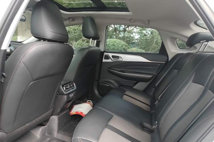 Used AION S 2019 Meizu 530 Left Rear Seat