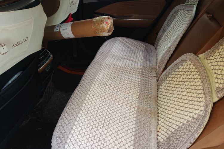 Used AION S 2019 Meizu Evo 630 Left Rear Seat