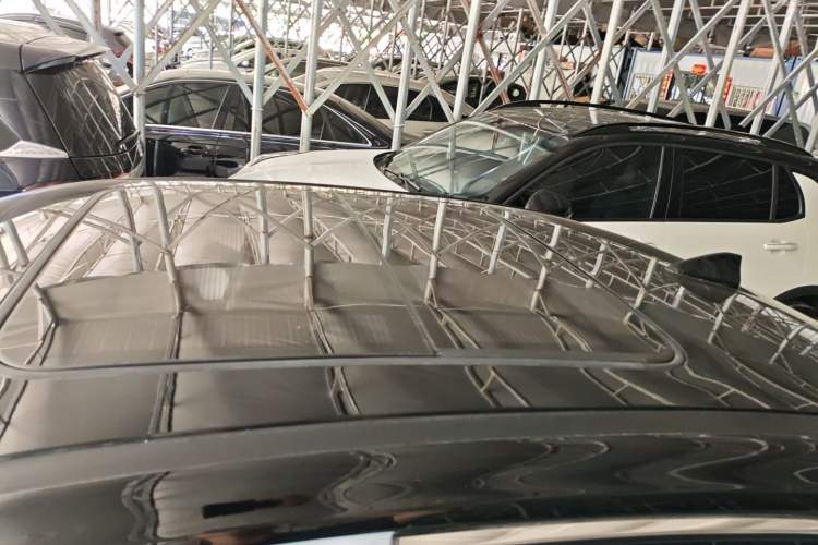 Used AION S 2019 Max 630 Roof