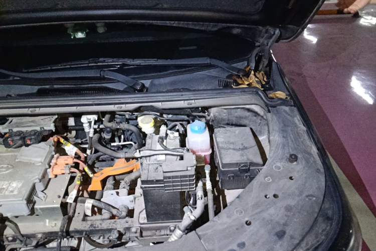 Used AION S 2020 Meizu 580 Engine Bay Left