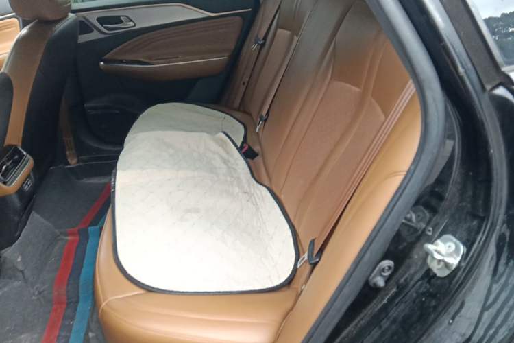 Used AION S 2020 Meizu 580 Left Rear Seat
