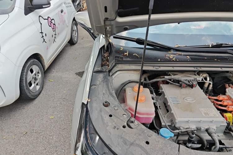Used AION S 2020 Meizu 580 Engine Bay Right
