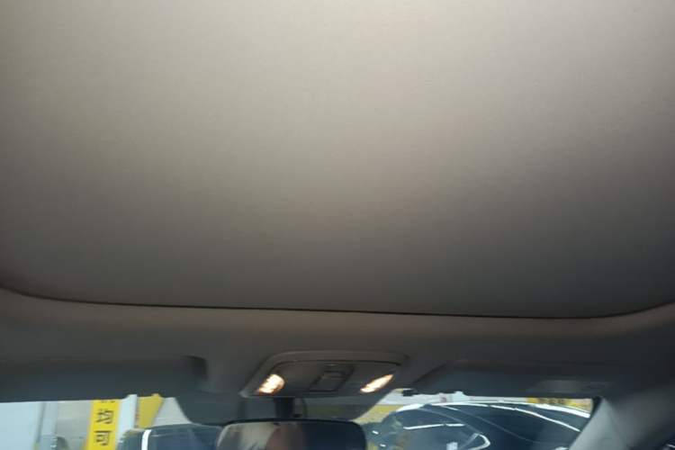 Used AION S 2020 Meizu 580 Pio Headliner