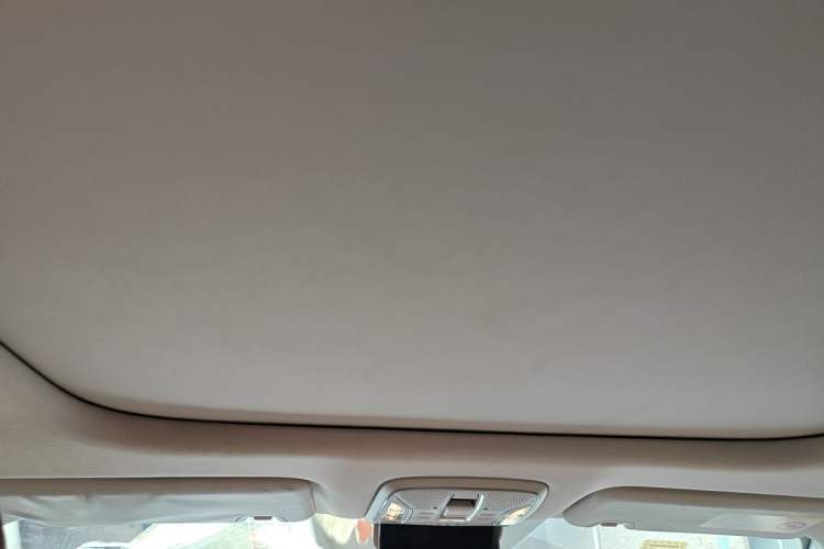 Used AION S 2020 Meizu 580 Headliner