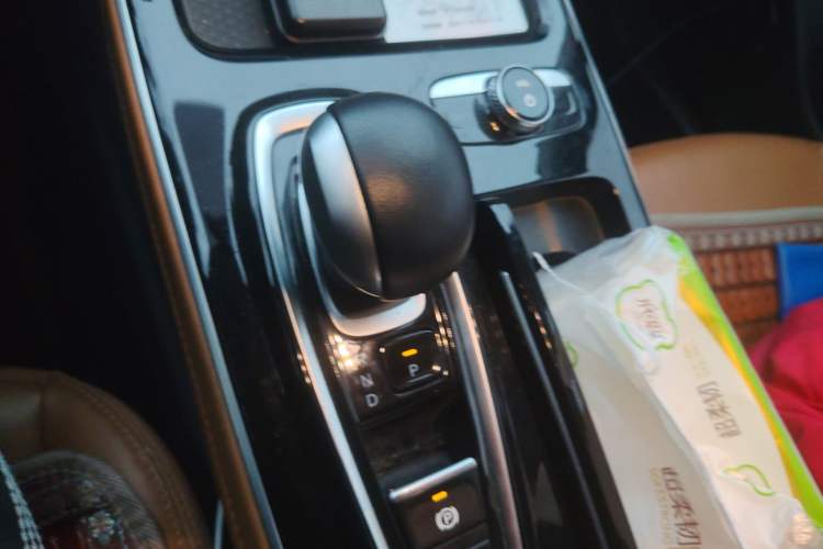 Used AION S 2020 Meizu 580 Pio Gear Lever
