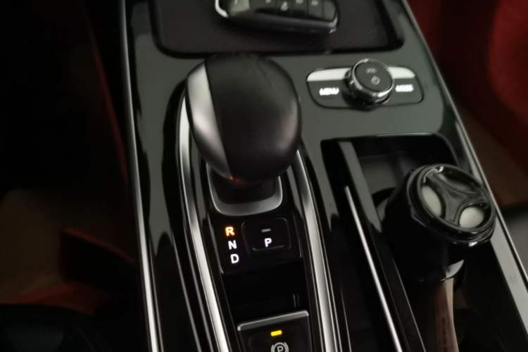 Used AION S 2020 Meizu 580 Gear Lever