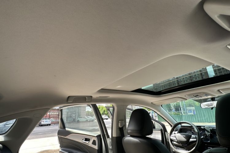 Used AION S 2020 Meizu 580 Headliner