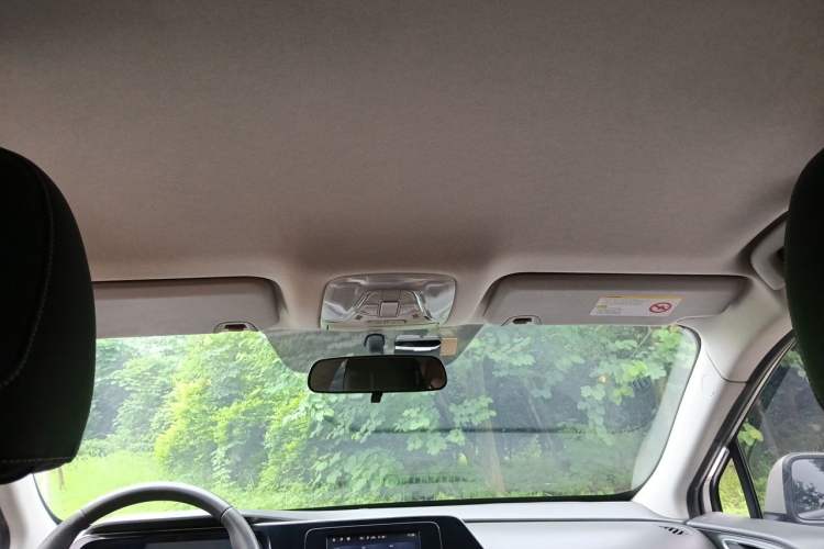 Used AION S 2020 Xuan 580 Pio Headliner