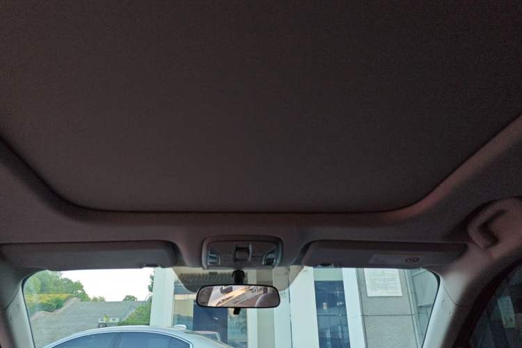 Used AION S 2020 Meizu 580 Headliner