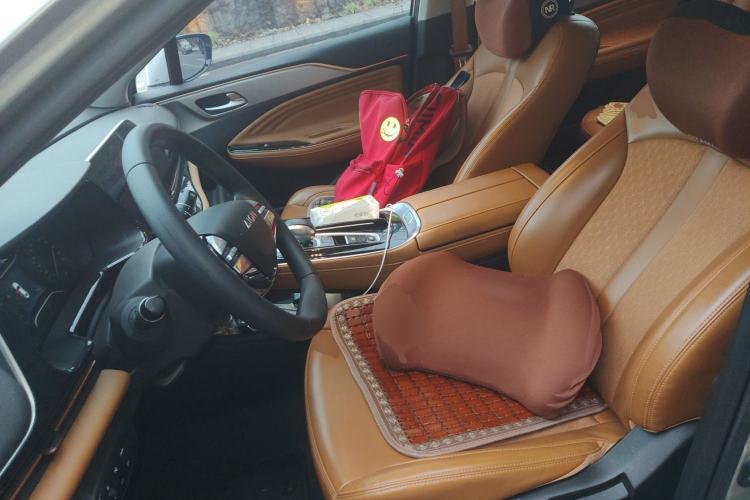 Used AION S 2020 Meizu 580 Pio Left Front Seat