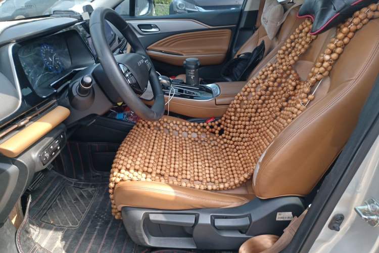 Used AION S 2020 Meizu 580 Left Front Seat