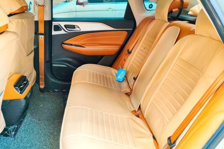 Used AION S 2020 Meizu 580 Left Rear Seat