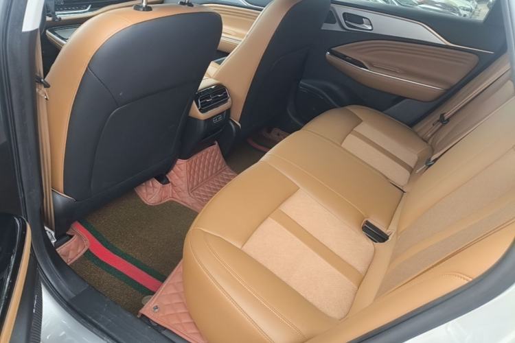 Used AION S 2020 Meizu 580 Travel Standard Edition Left Rear Seat
