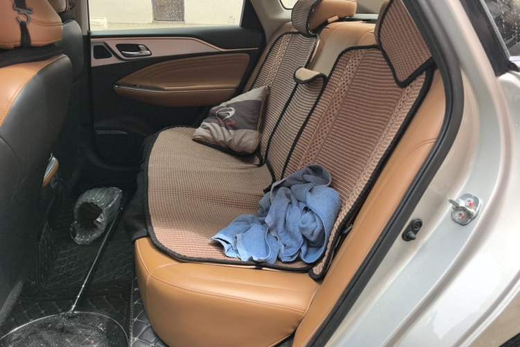 Used AION S 2020 Meizu 580 Left Rear Seat