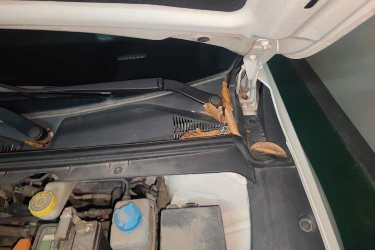 Used AION S 2020 Meizu 580 Engine Bay Left