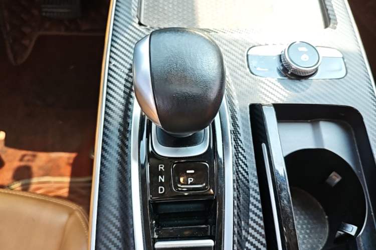 Used AION S 2020 Meizu 580 Gear Lever