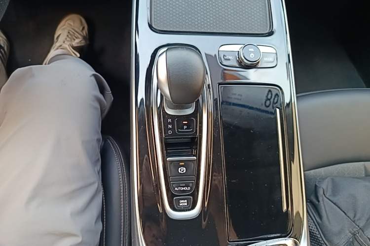 Used AION S 2020 Meizu 580 Gear Lever