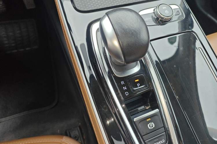Used AION S 2020 Meizu 580 Gear Lever