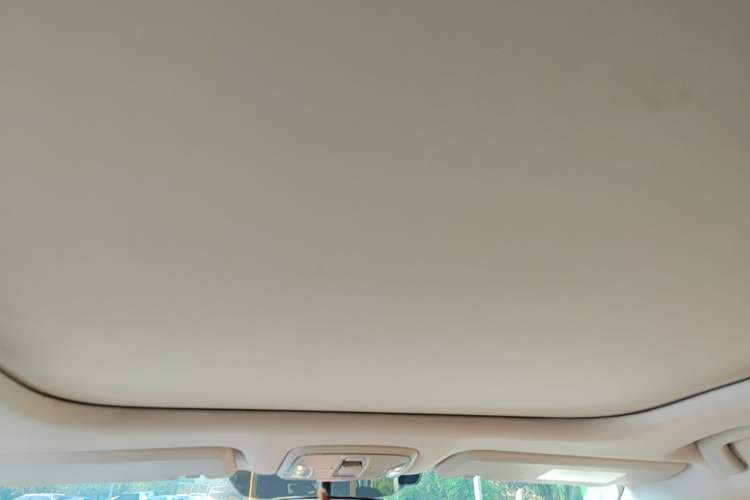 Used AION S 2020 Meizu 580 Headliner