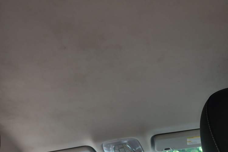 Used AION S 2020 Xuan 580 Headliner