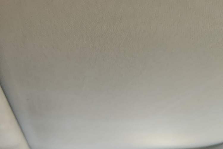 Used AION S 2020 Meizu 580 Pio Headliner