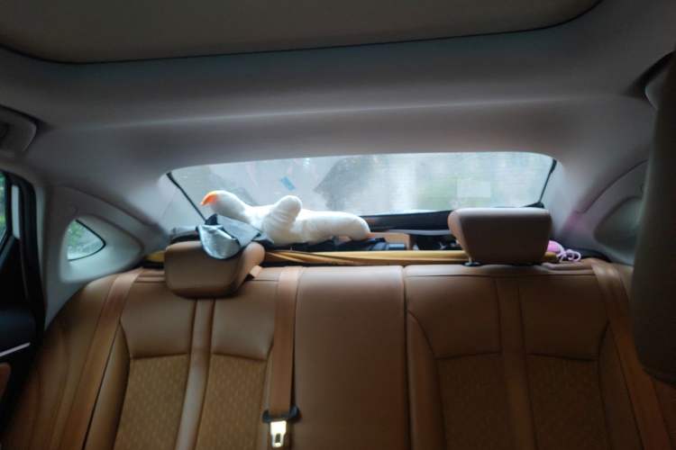 Used AION S 2020 Meizu 580 Pio Headliner